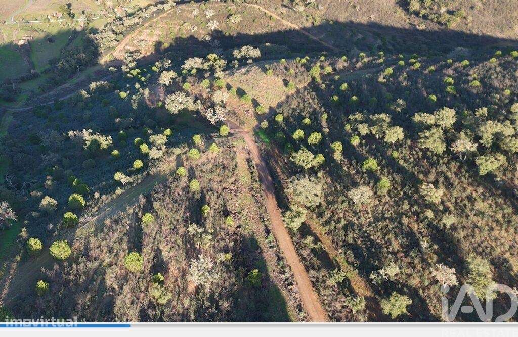 Propriedade em Santa Clara-a-Velha de 100 m2 - Grande imagem: 5/16