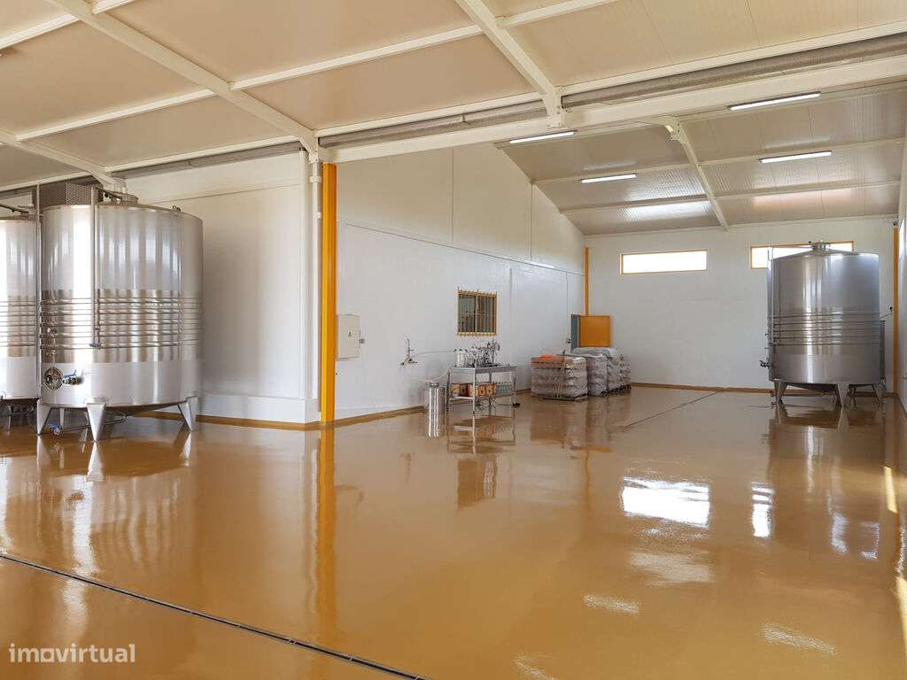 Venda Armazém - Grande imagem: 4/26