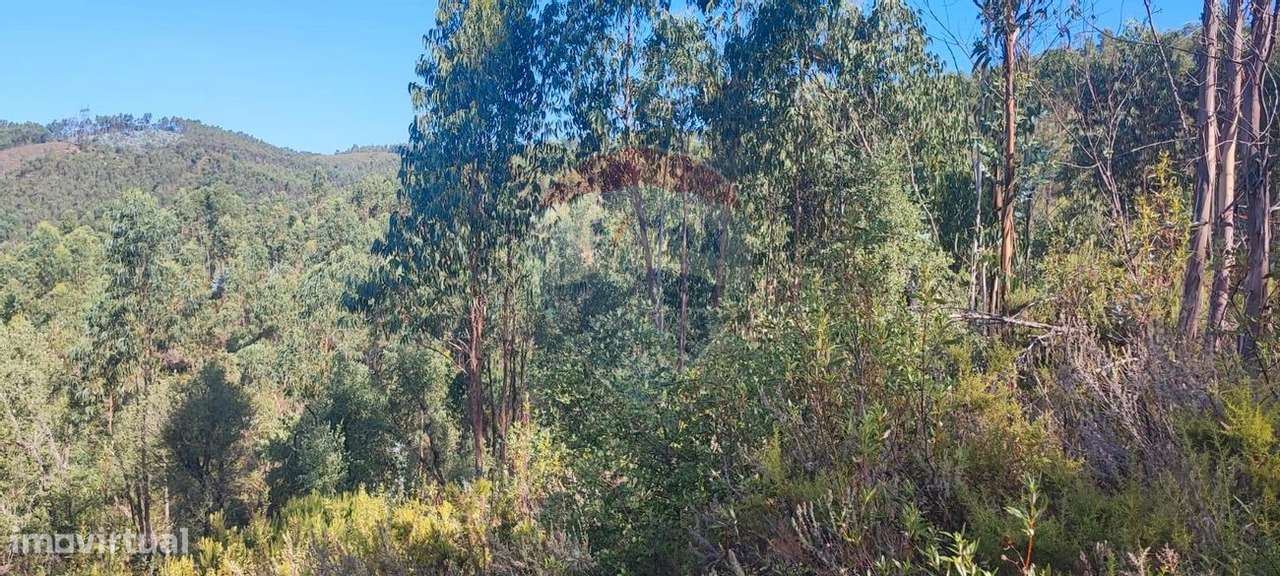 Terreno  para venda - Grande imagem: 3/8