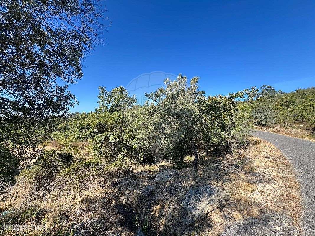 Terreno  para venda - Grande imagem: 5/13