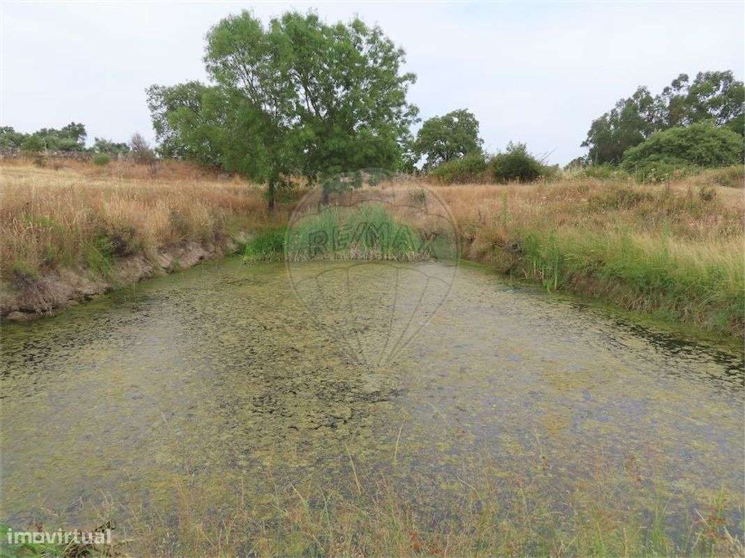 Quinta  para venda - Grande imagem: 5/42