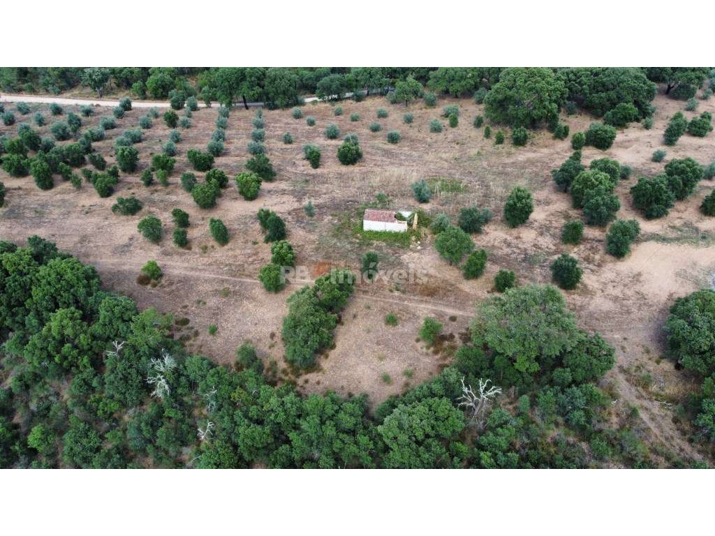 Terreno com 6 hectares, perto de Constância. - Grande imagem: 2/3