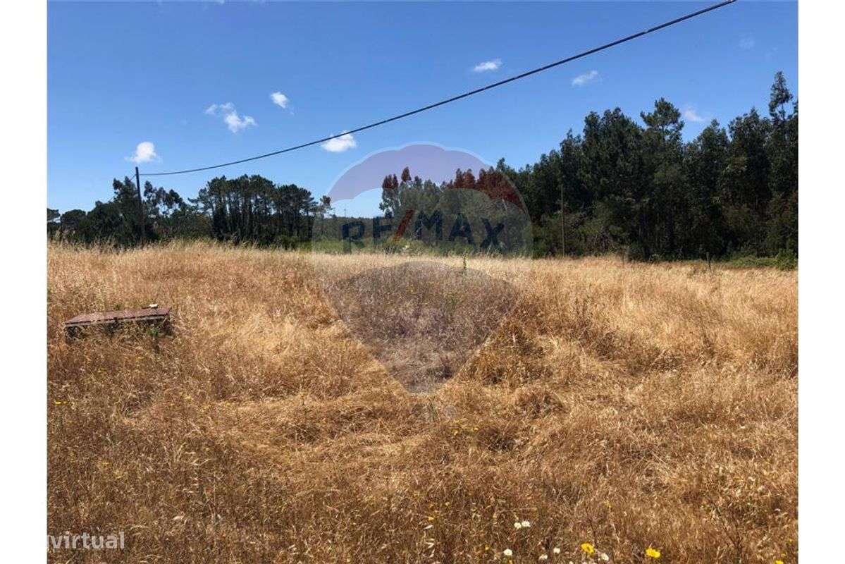 Terreno com 6,317 m2 - Grande imagem: 4/8