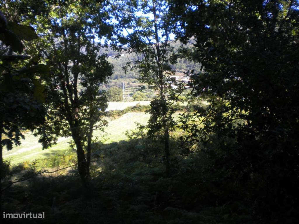 Terreno em Labrujó - Grande imagem: 4/6