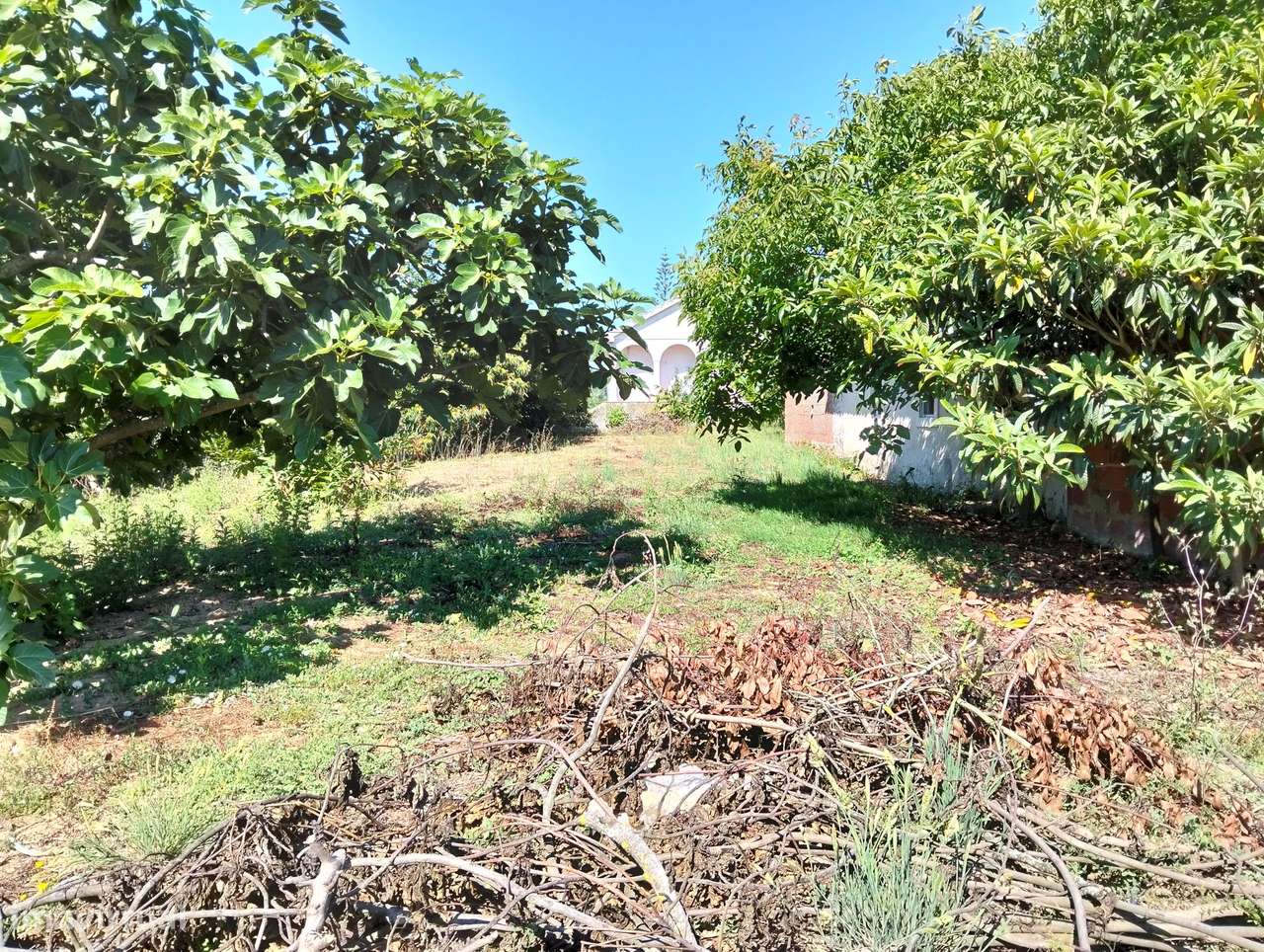 Moradia com terreno c/2 artigos Casal Jorge Dias -Alcobaça-31