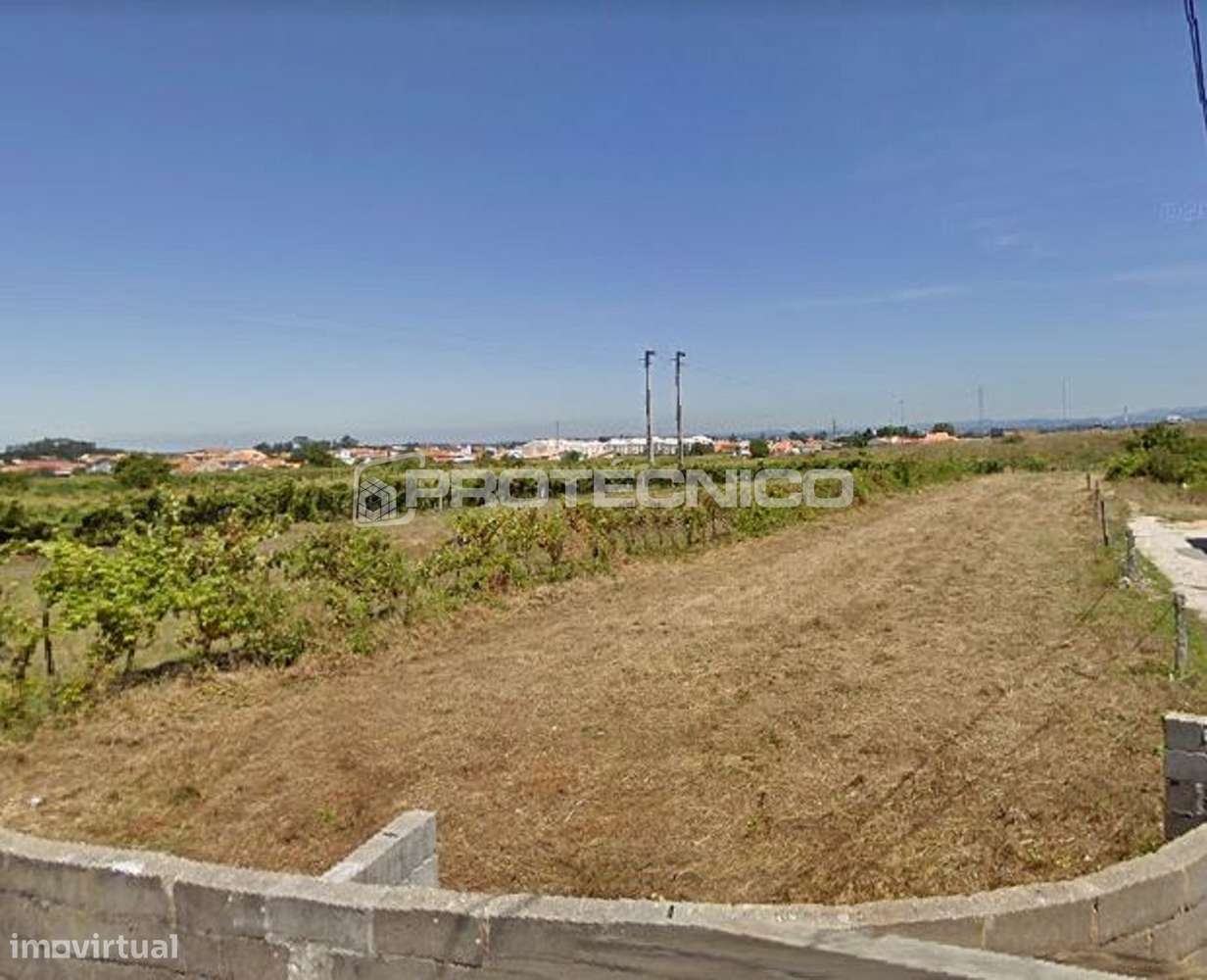 Terreno c/ 3.000m2 - Cacia - Grande imagem: 4/4