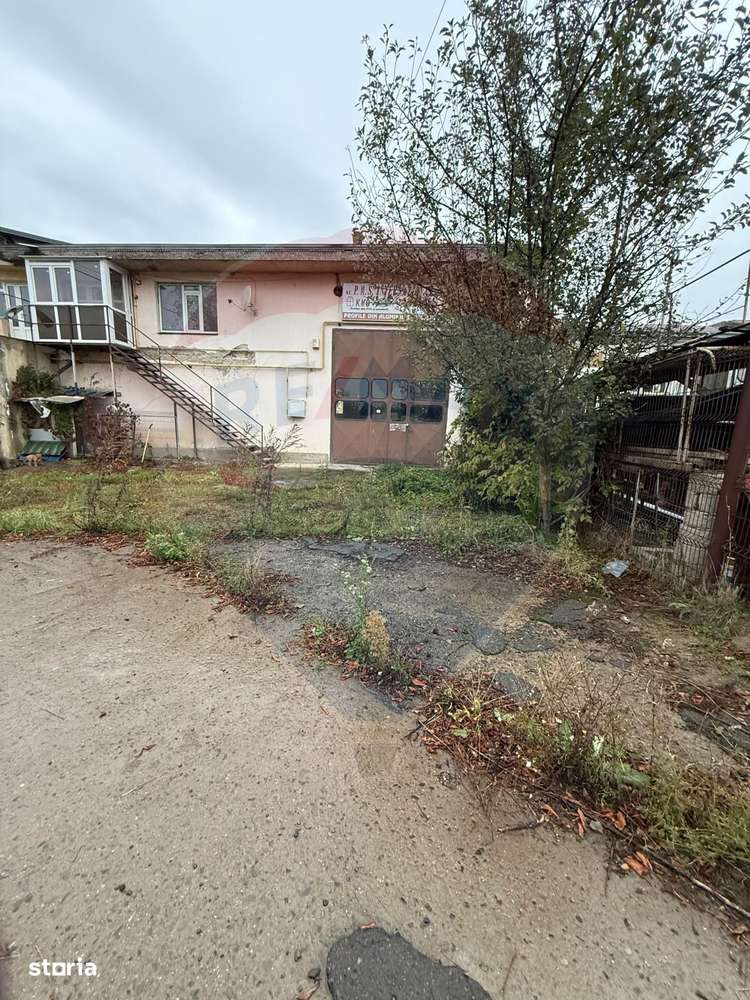 Hala - zona KAUFLAND Burdujeni-7