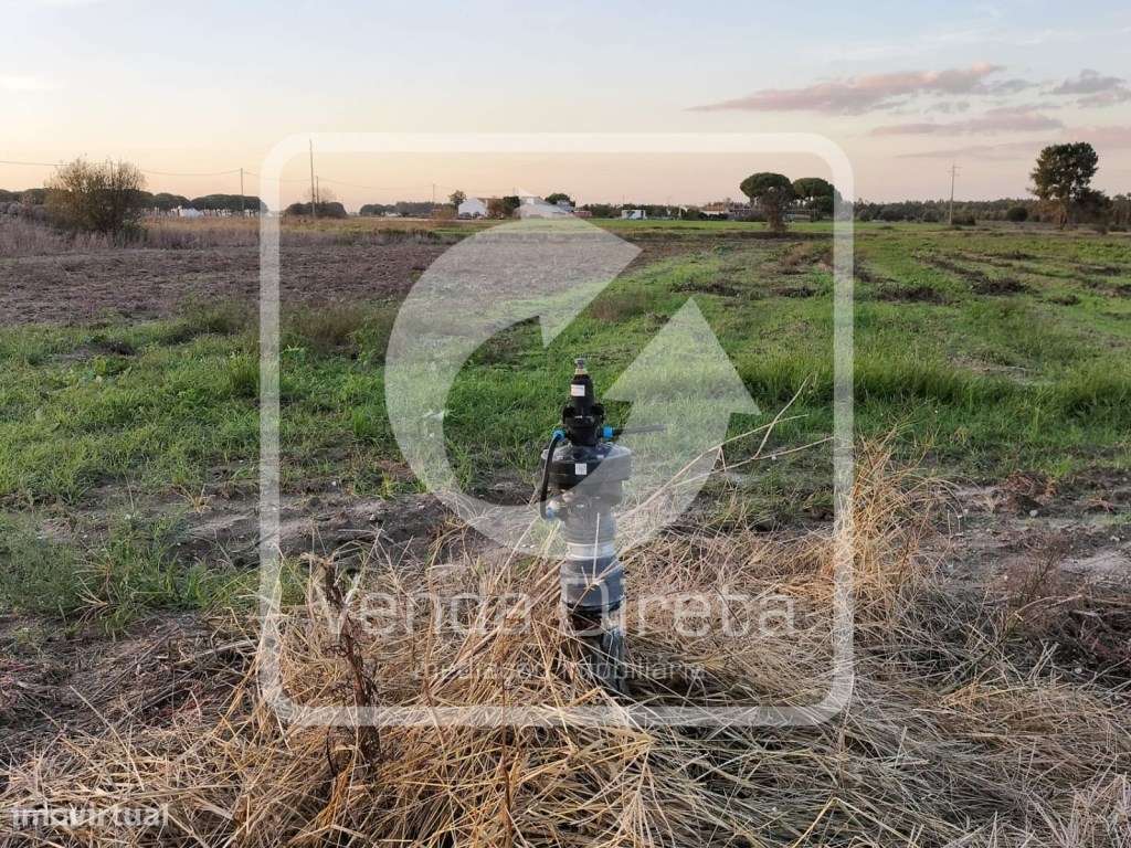 Terreno com 110.000 m2 junto à Nacional 10 - Com Armazém, Furo Lice...-8