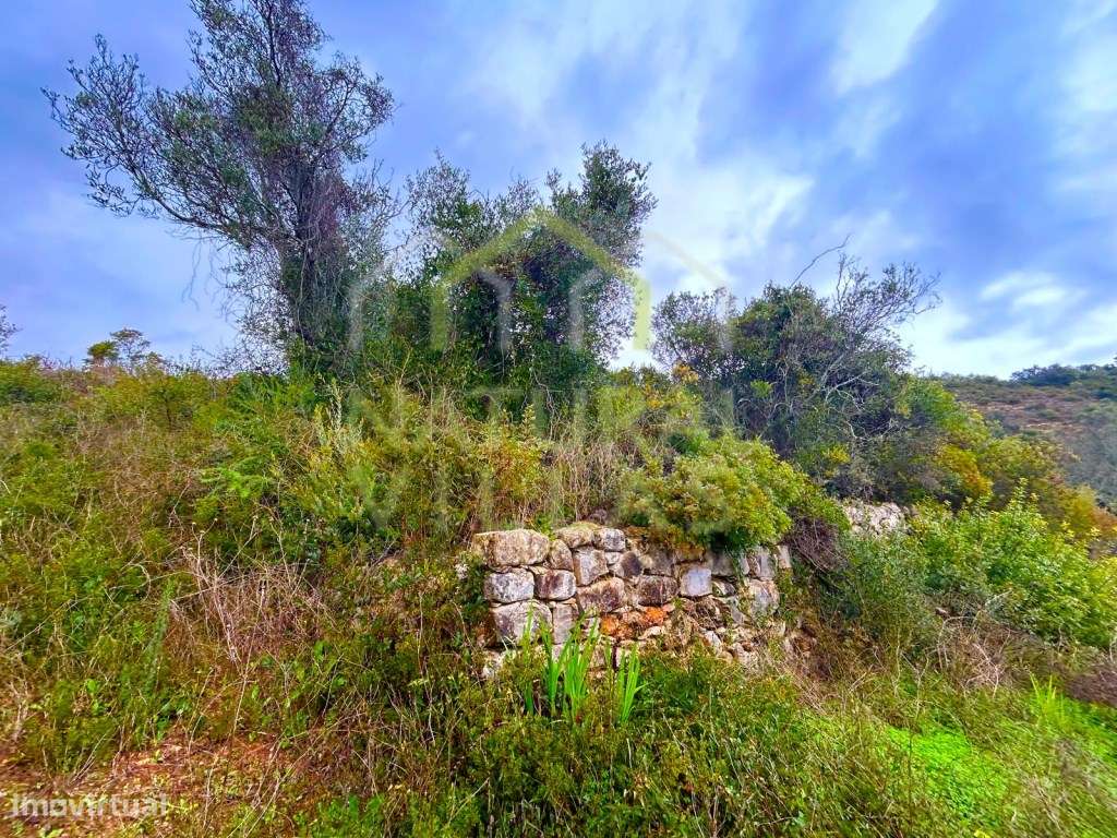 Terreno Rústico em Alcaria Branca, Estoi - Grande imagem: 4/7