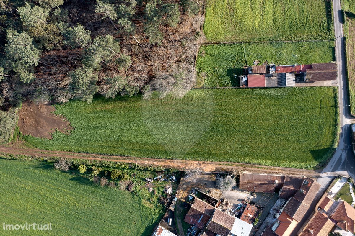 Terreno  para venda