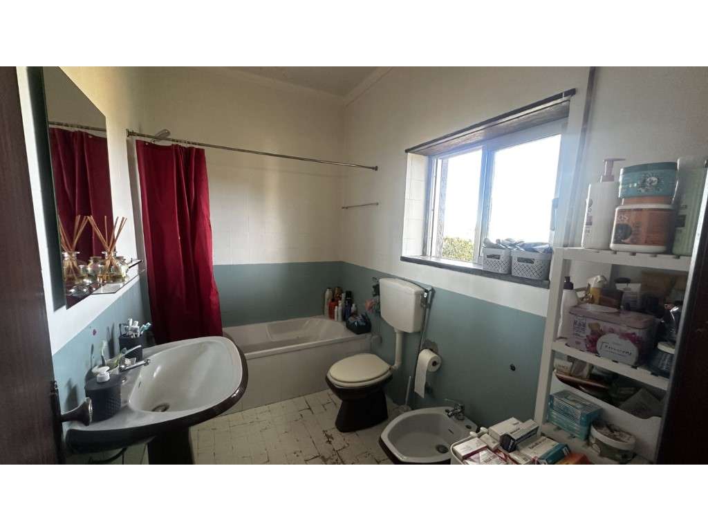 Vendese Quinta com Casa T4, Adega, Lagar e Terreno com Árvores de F...-26