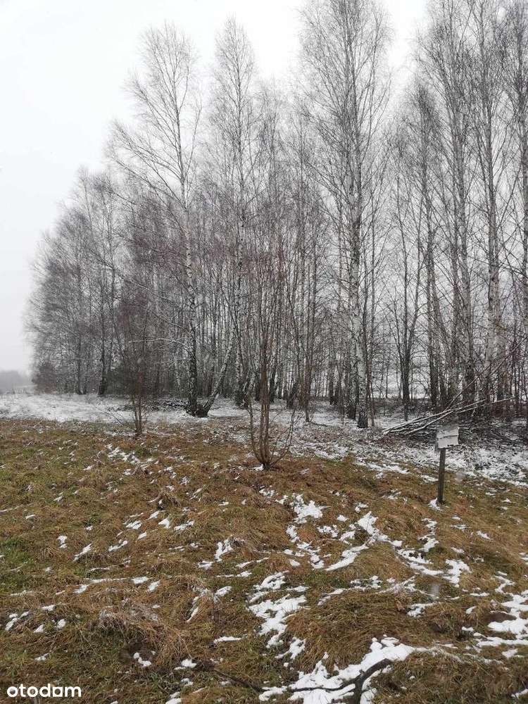 Sprzedam działkę budowlaną w miejscowości Okrzeja - Pełny obrazek: 4/9