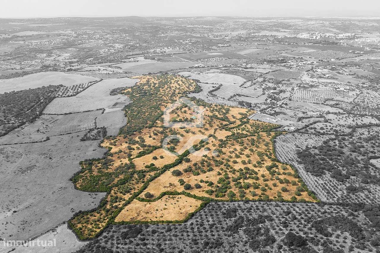 Herdade de 41 ha c/ Moradia T3+1  e Piscina | Elvas - Grande imagem: 5/60