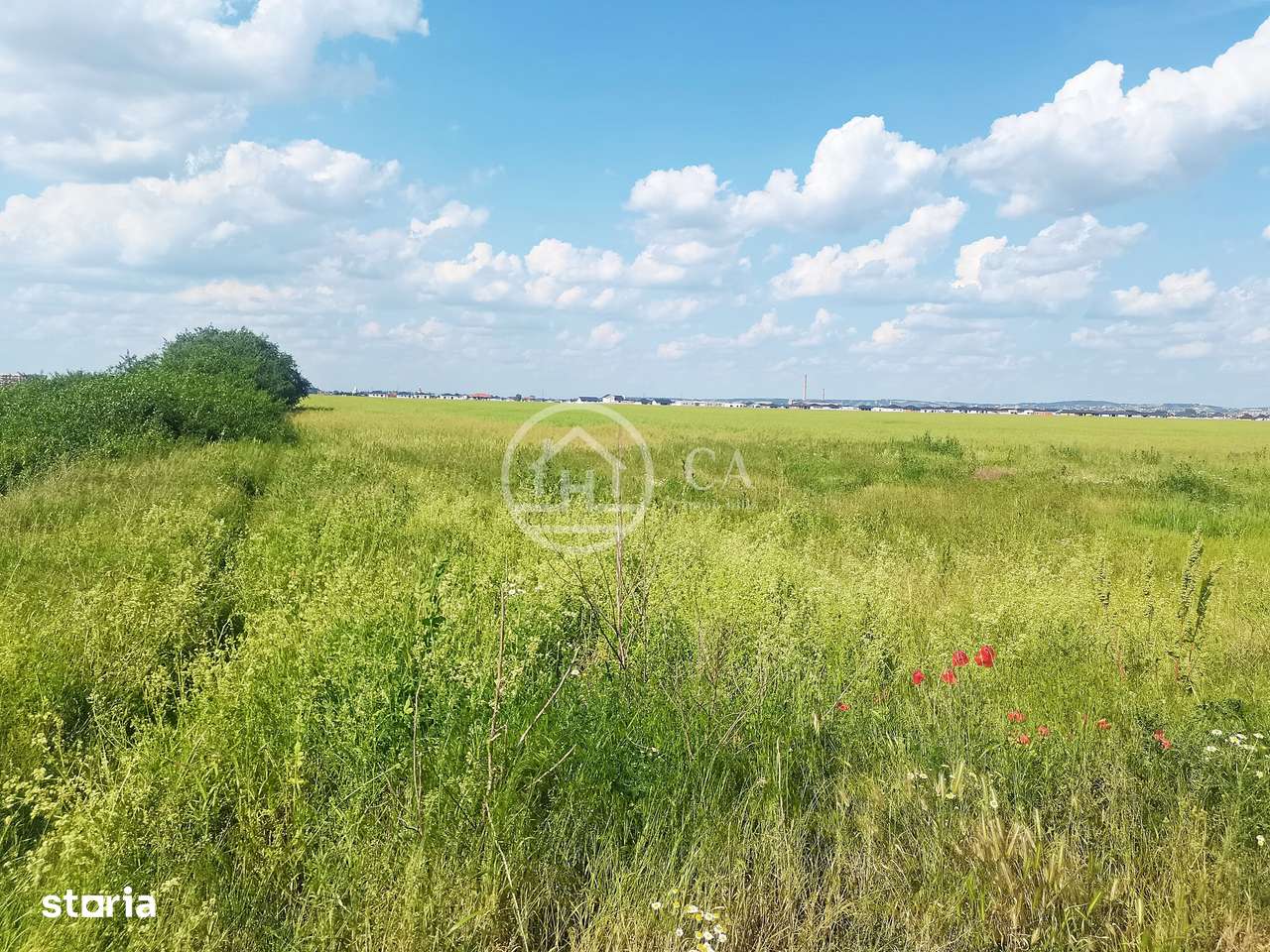 Teren intravilan de vânzare in Santandrei, Bihor - Imagine principală: 2/3