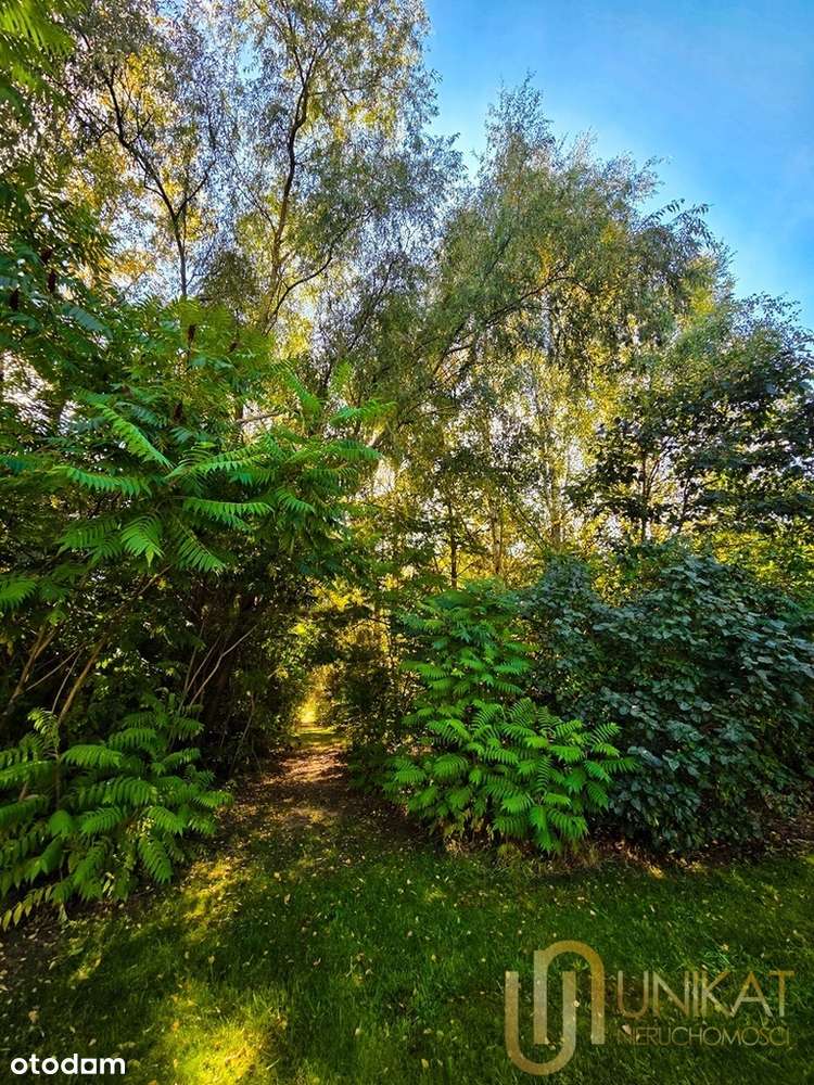 Dom parterowy 148m2+120m2/ ponad 1 ha/ las/ staw - Pełny obrazek: 5/20