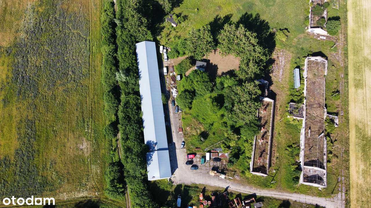 Hala magazynowa, warsztatowa, produkcyjna - Grunt 4,5 hektara-17