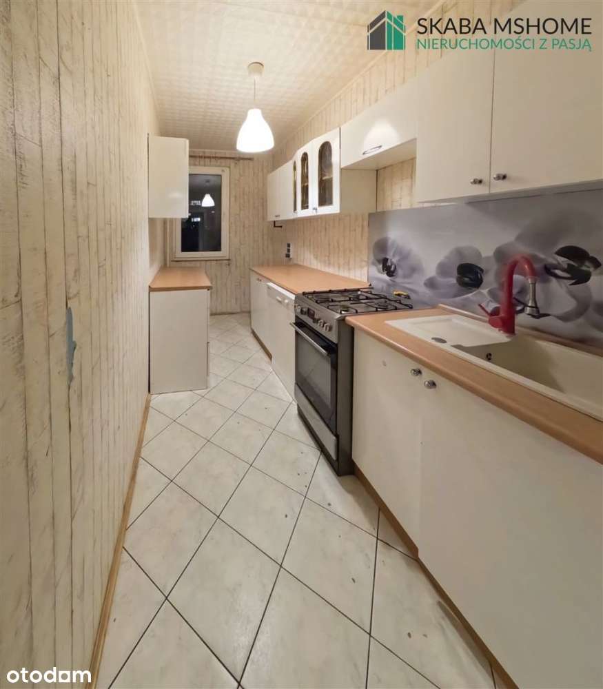 Do wynajęcia mieszkanie z ogródkiem - Pełny obrazek: 2/8