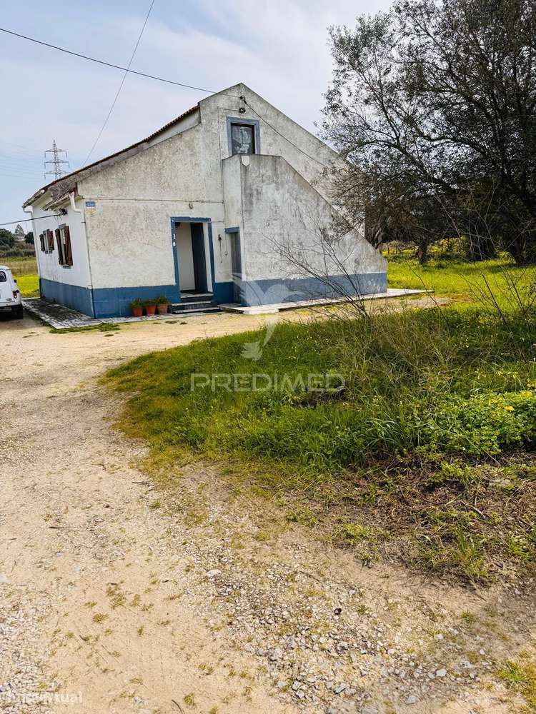 Moradia de Campo na Quinta do Anjo – Terreno com 4.520 m² - Grande imagem: 4/39