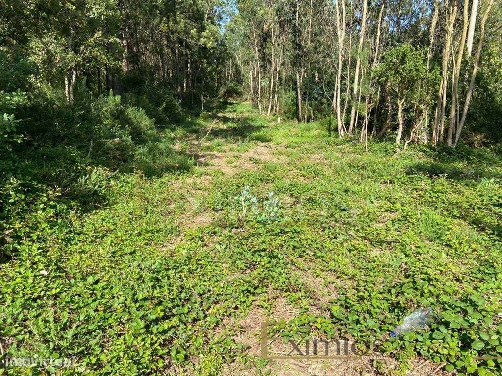 Venda de Terreno em Labruge, a 800 m da praia - Grande imagem: 2/7