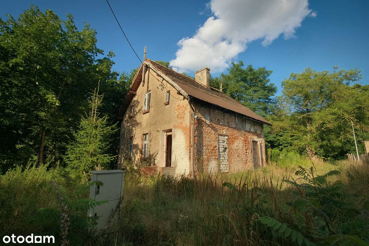 Twój azyl pod lasem – UNIKALNA działka z potencjałem w Wierzonce-0