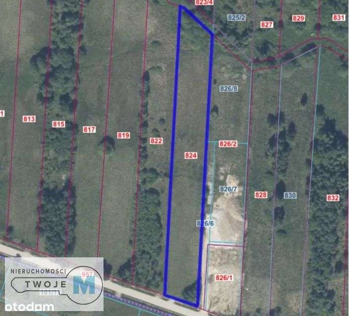 Działka budowlano - rolna, piękny krajobraz Masłów - Pełny obrazek: 5/13