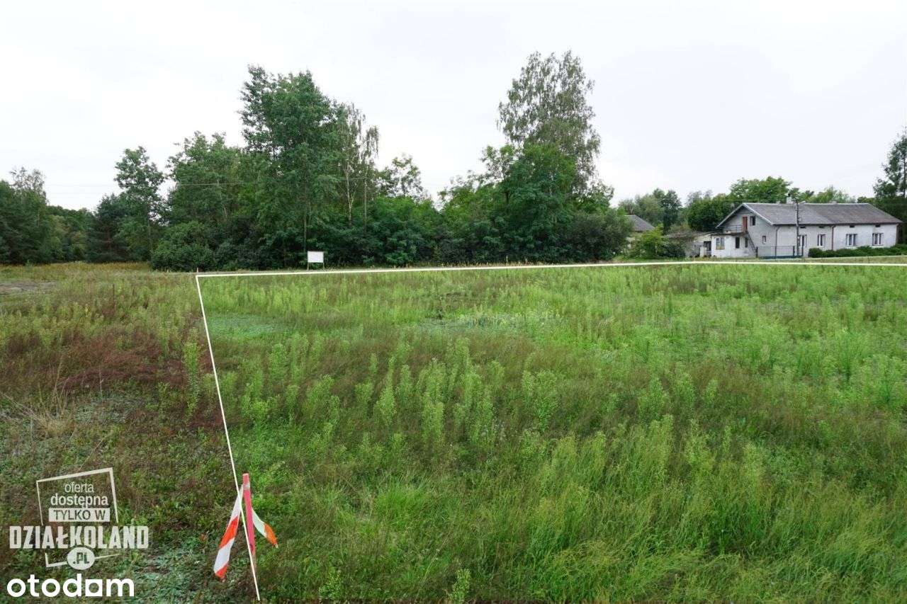 Dz. budowlana 4060 m², Skęczno (Kol. Piła), Zadzim-8