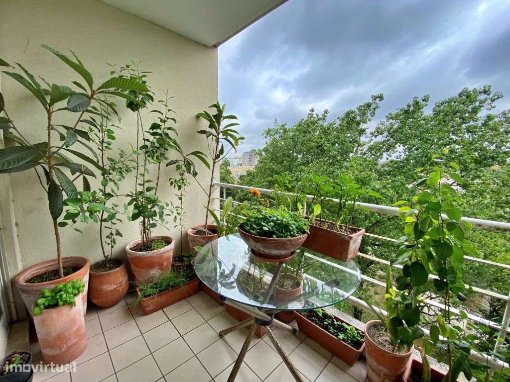 Conforto e Elegância no Centro da Cidade - Grande imagem: 4/34