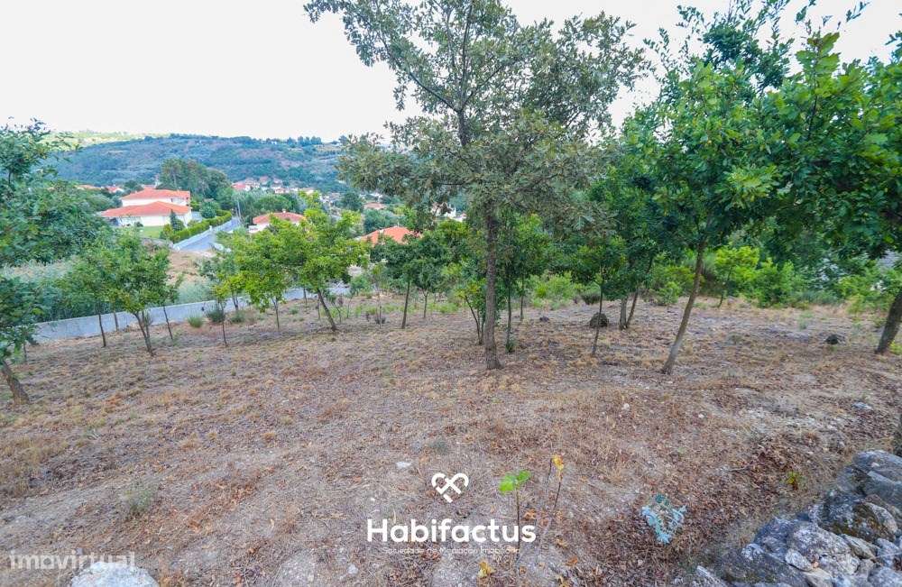 Lote de terreno urbano com 5003 m2 para venda em Santos Êvos-9