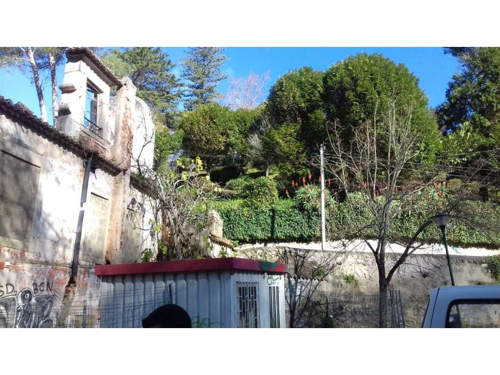 Prédio na Zona Histórica - Grande imagem: 4/7