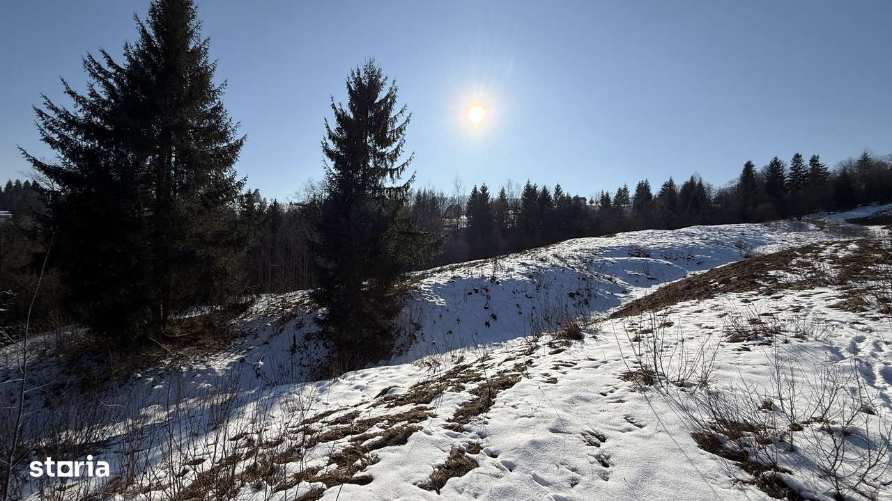 Teren extravilan 2.1 ha Sălătruc, Vama-9