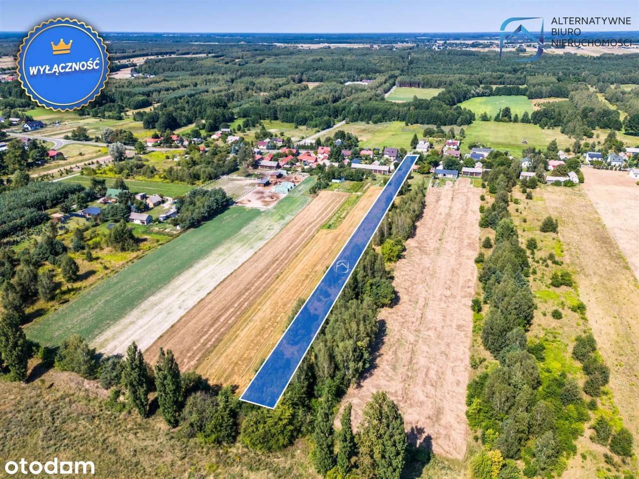 Działka budowlano-rolna w Tarle w g. Niedżwiada - Pełny obrazek: 5/16