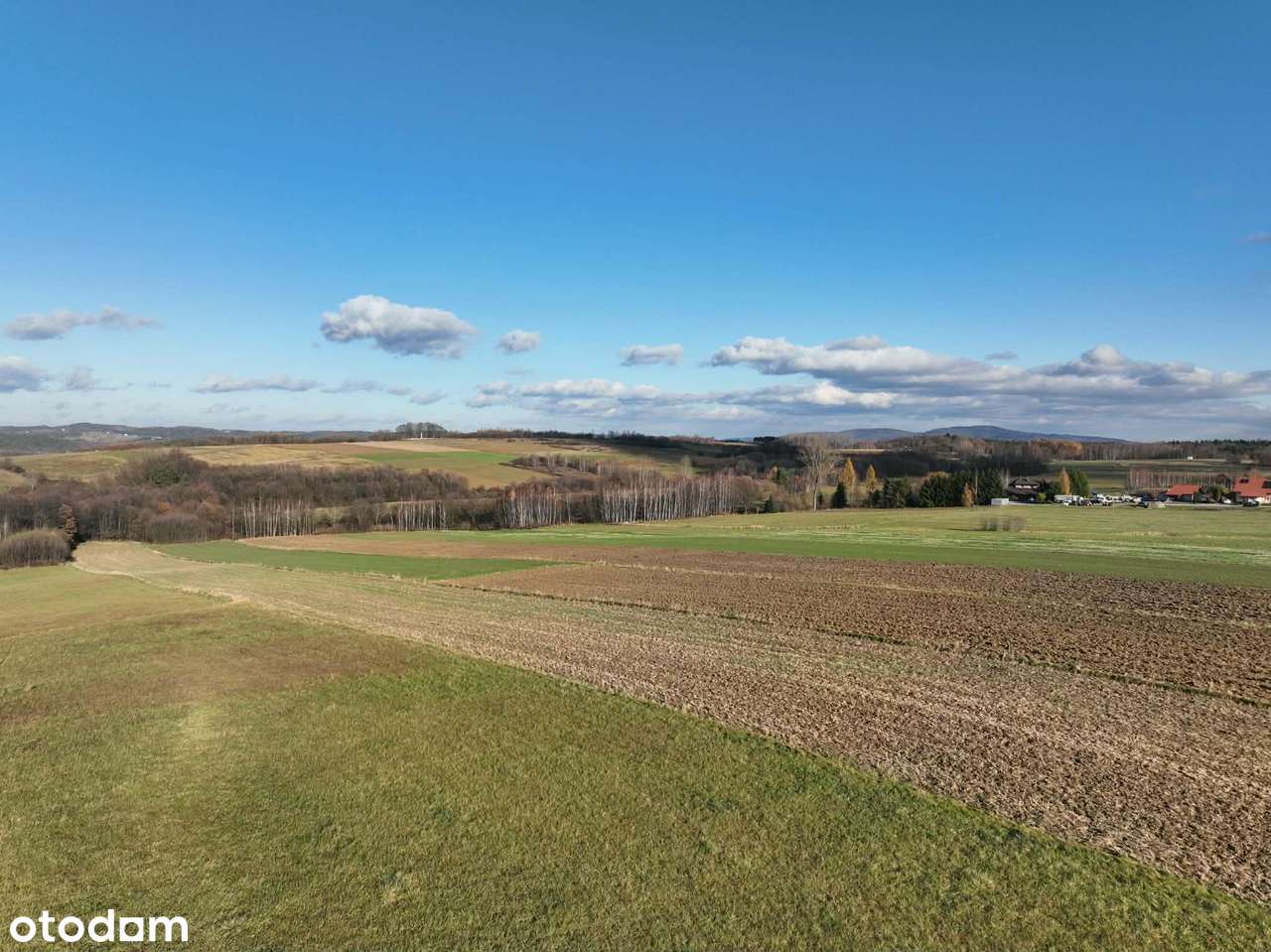 Ponad 1,5 ha działka w Ołpinach gm. Szerzyny-3