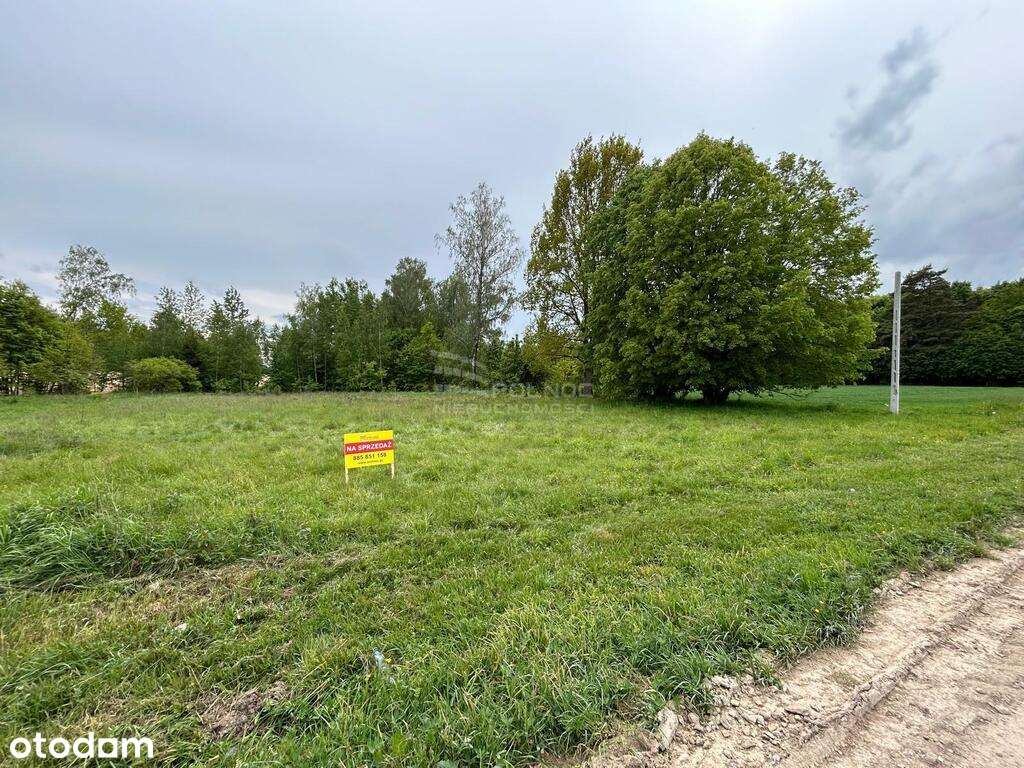 Działka 2548m2 w Laskowszczyźnie - OKAZJA cenowa! - Pełny obrazek: 4/9