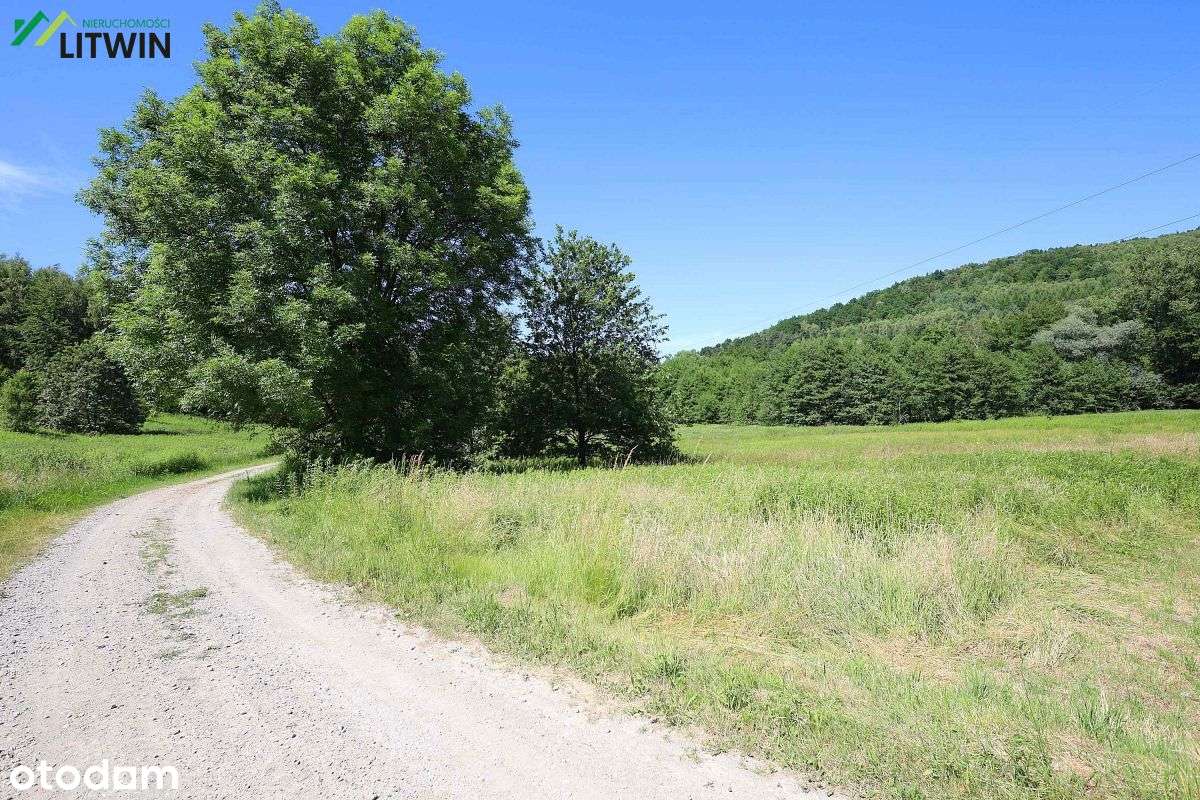 Działka rolna 43 ary w Zagórze, powiat dębicki