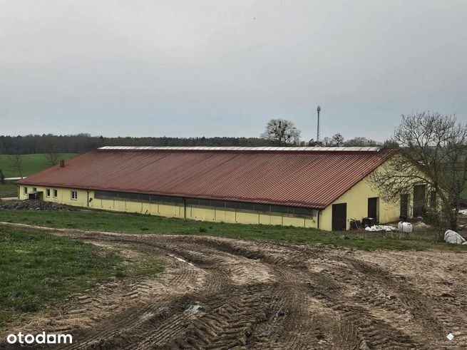 Siedlisko + dzierżawa 83 hektarów.