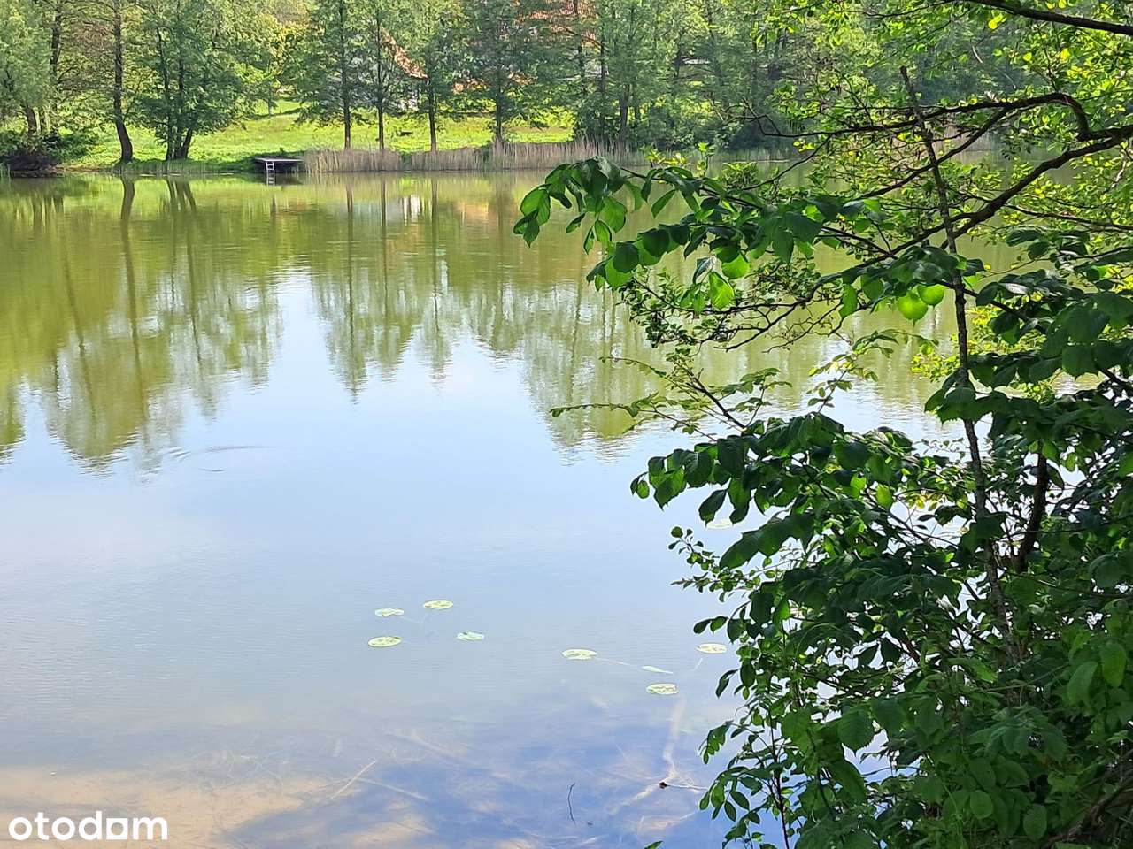 Cierzpięty, dz. 59/10, gm. Orzysz-7