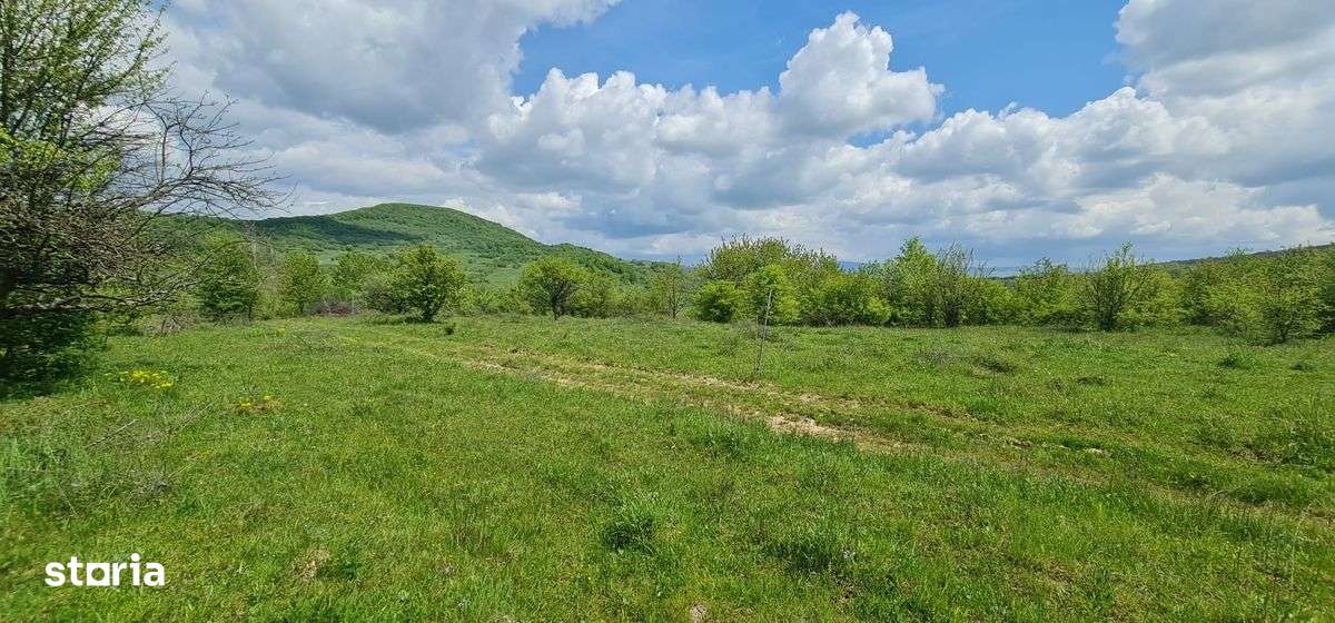 Teren 1500 mp pe str Paltinului, Valea Ghinzii , extravilan Bistrita-4