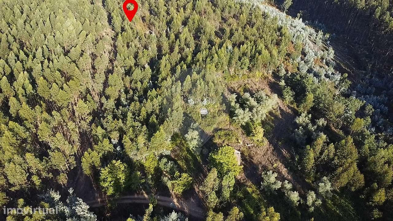 Terreno  para venda - Grande imagem: 5/6