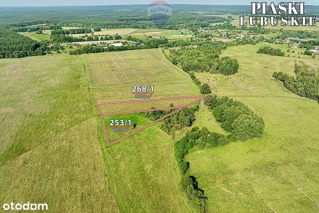 Na sprzedaż działki rolne, łącznie 9.600 m² - Pełny obrazek: 4/19