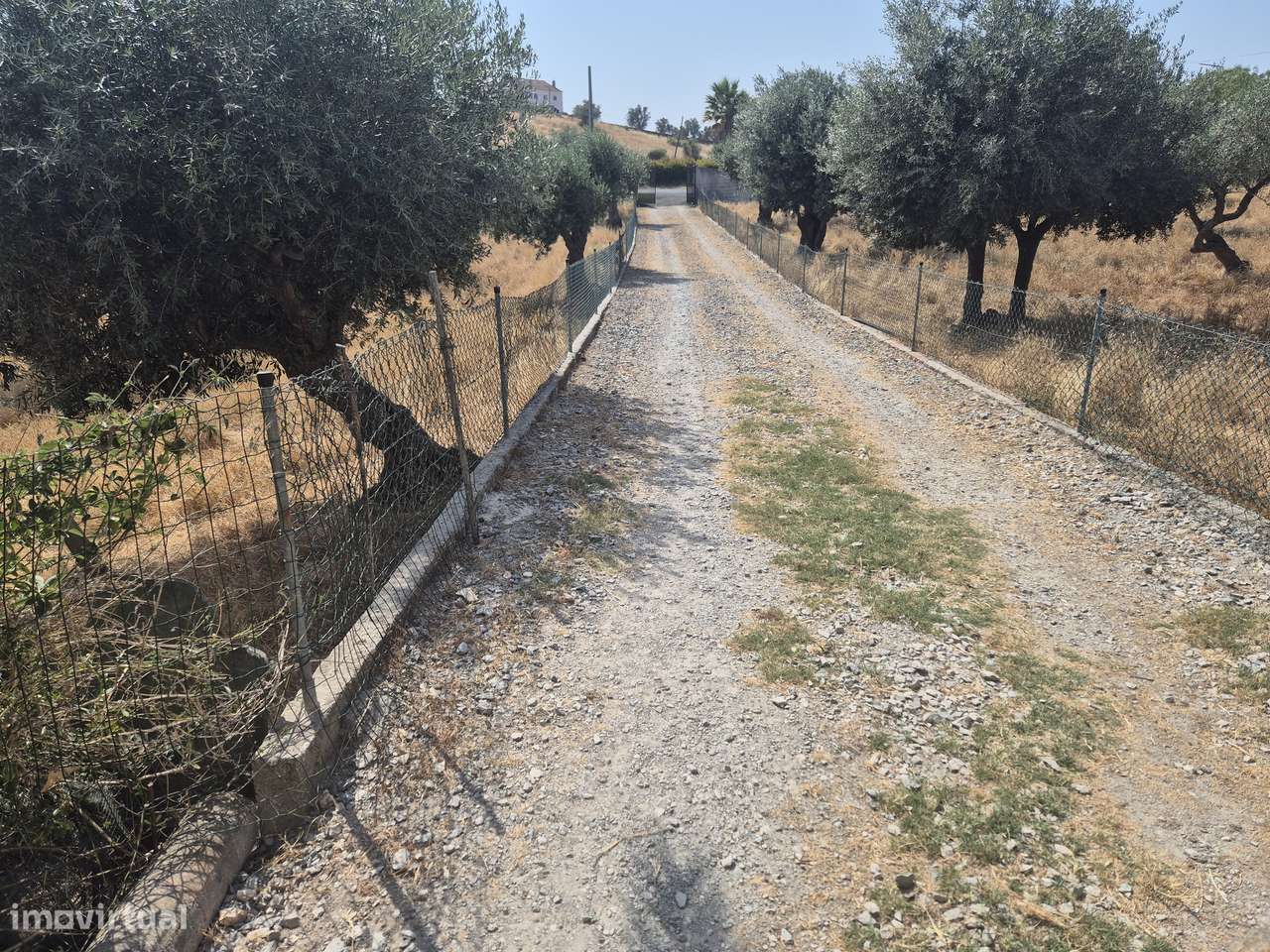 Quinta V5 com 15.000 m2 em Ourique-31