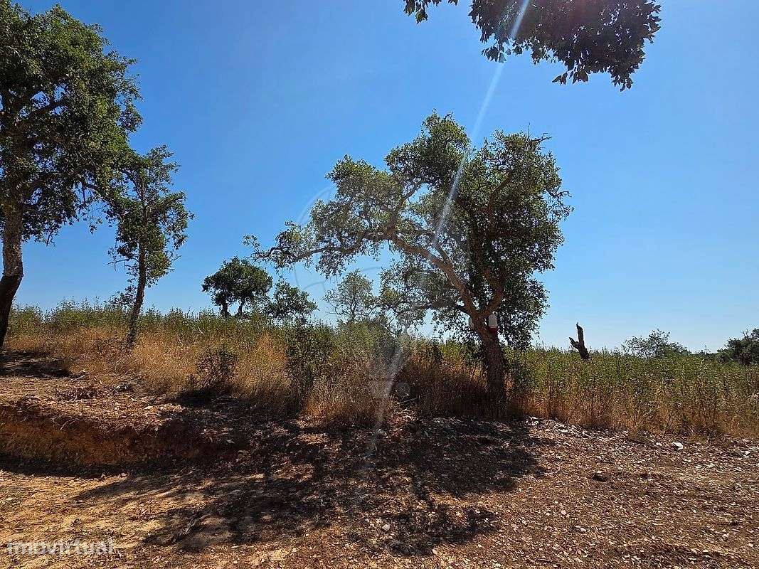 Terreno  para venda-17