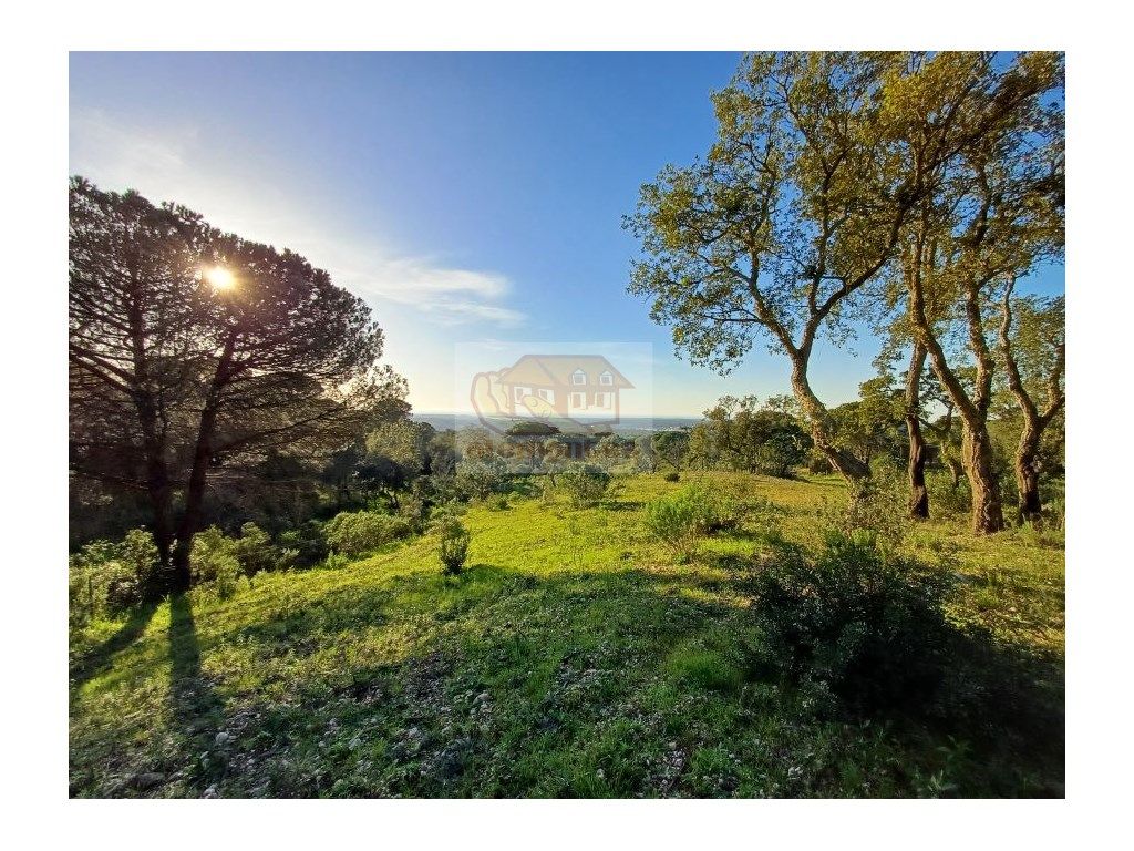 Terreno com vista para a Lagoa de Melides