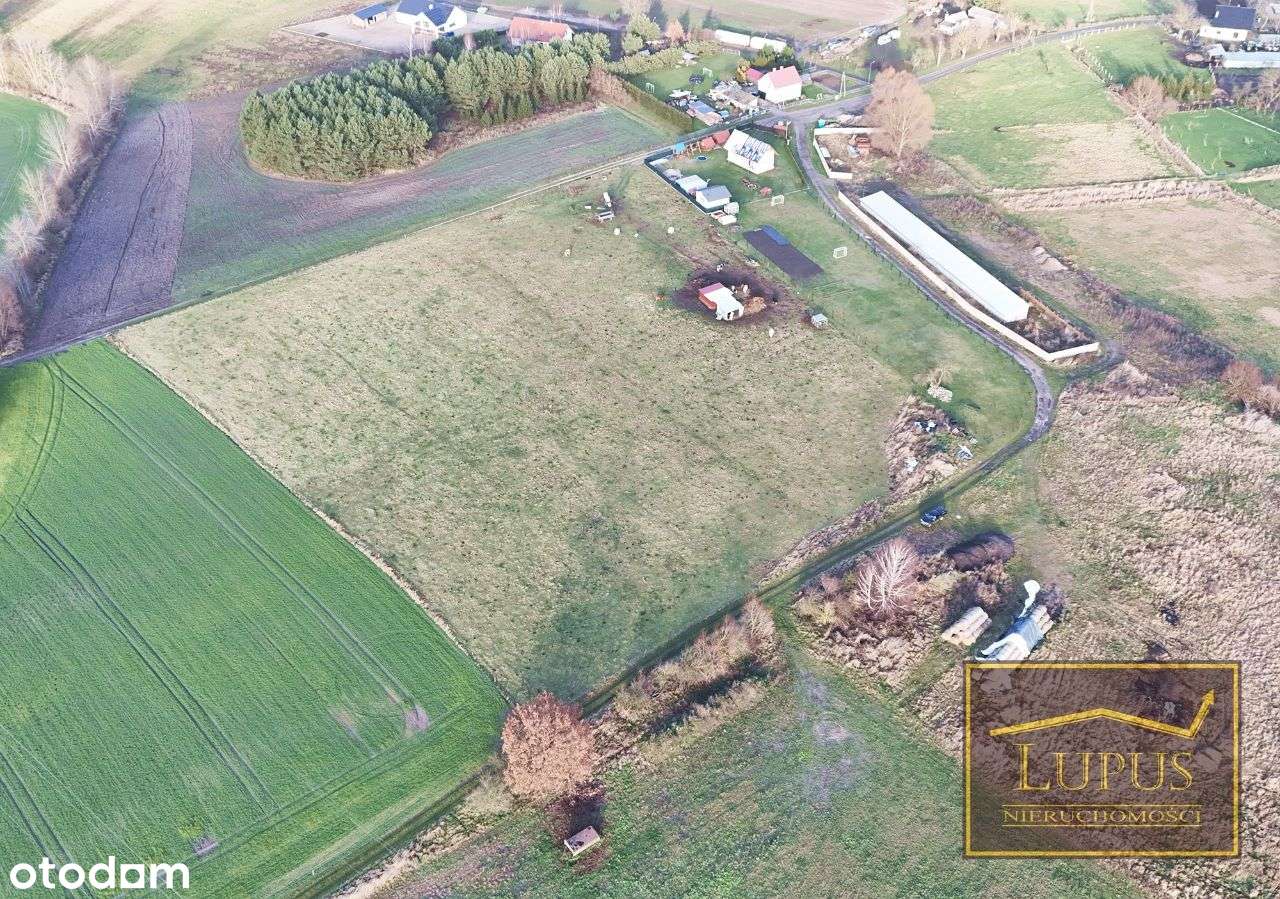 Duża działka w Rekowie - Pełny obrazek: 4/11