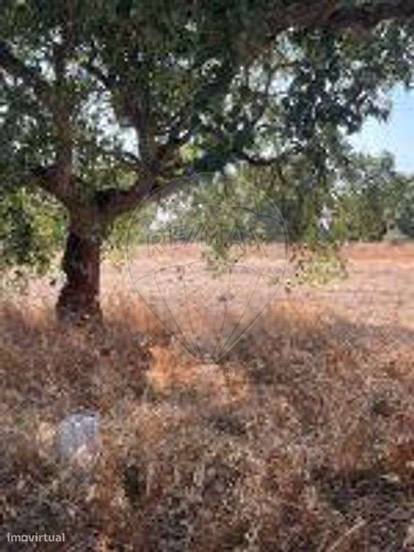 Terreno  para venda-10