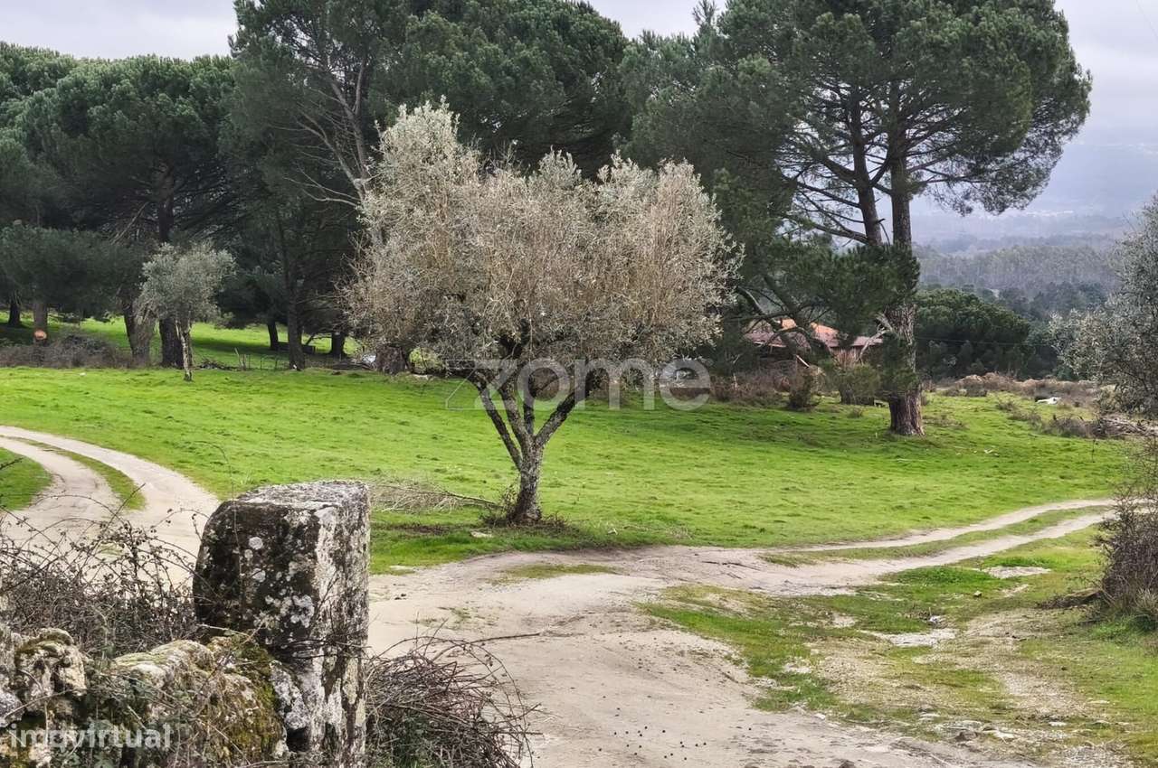 Moradia T3|Quinta com 15 hectares | Serra da Estrela | Garagem |-32