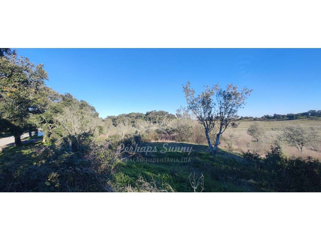 TERRENO RÚSTICO PARA VENDA - UMA OPORTUNIDADE NA SERRA DE GRÂNDOLA-14
