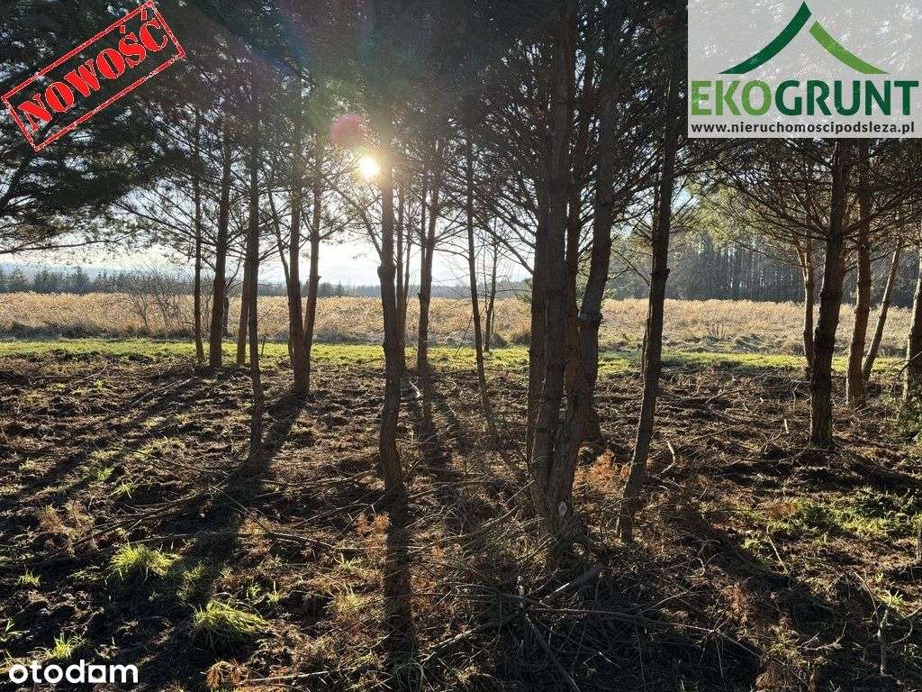 Działka budowlana 8500m2 (Ml), Słupice-0