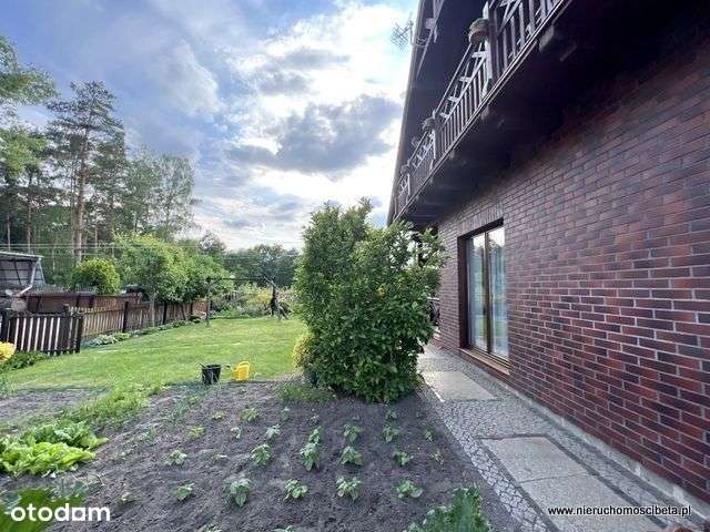 Dom wolnostojący + Zakład przemysłowy-7