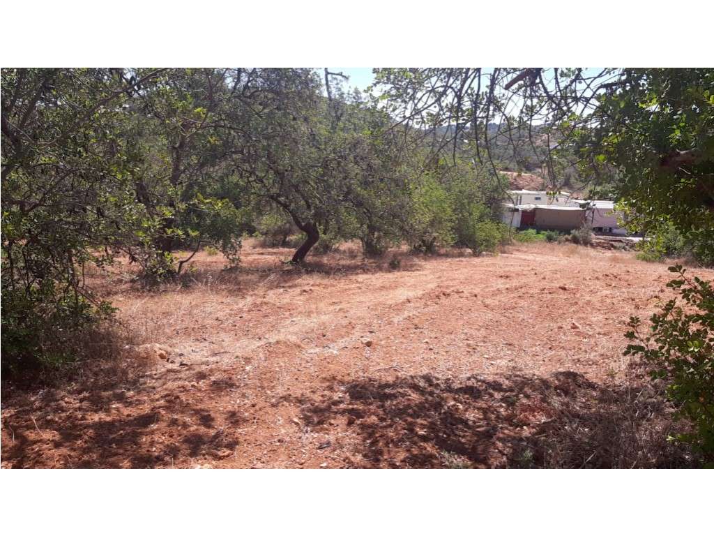 Terreno Rustico - Grande imagem: 5/6