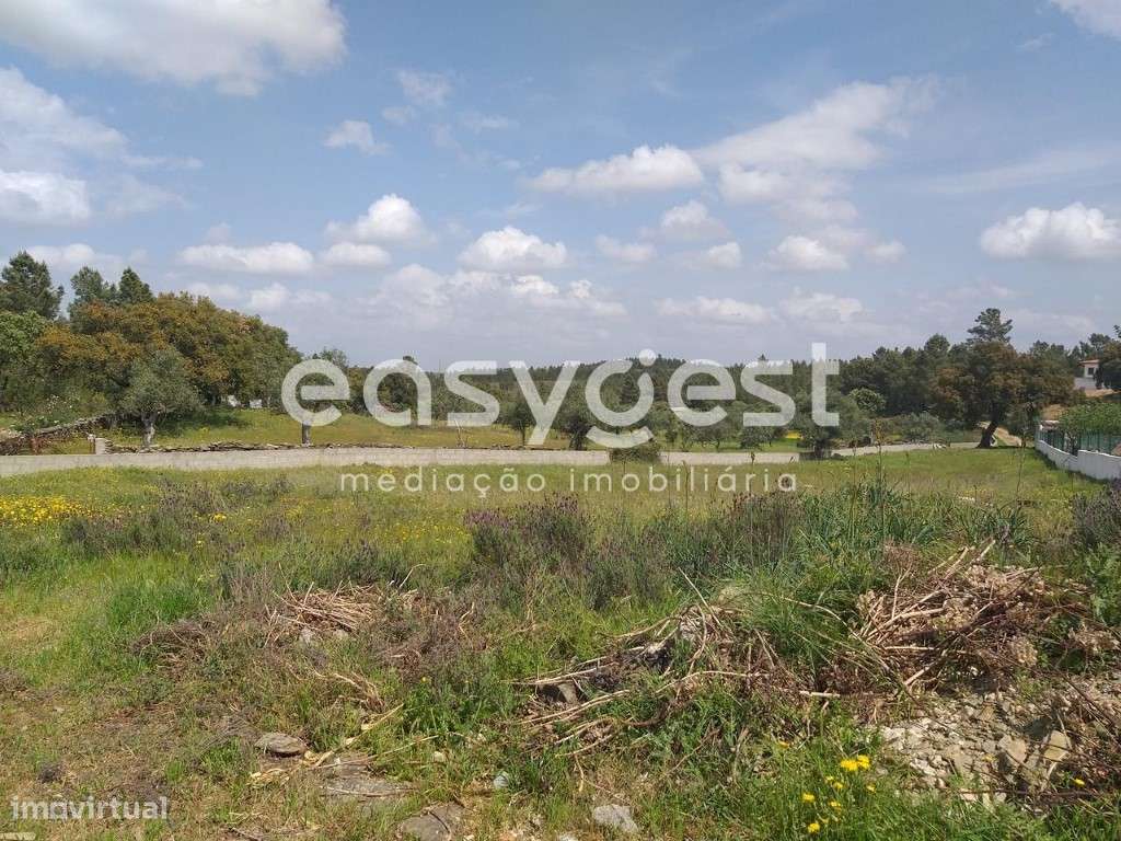 Fantástico Terreno Urbano em Benquerenças Castelo Branco - Grande imagem: 3/46